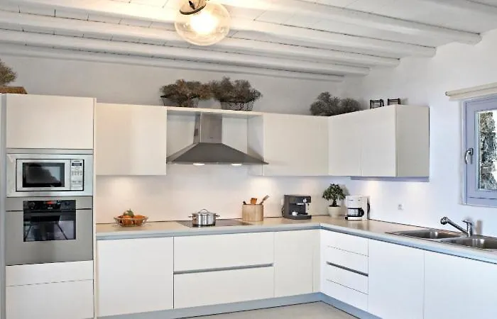 Elegant Seaside Villa, Great Views, Infinity Pool, Lia, Mykonos 卡拉法蒂斯