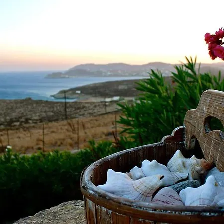 Elegant Seaside Villa, Great Views, Infinity Pool, Lia, Mykonos Willa