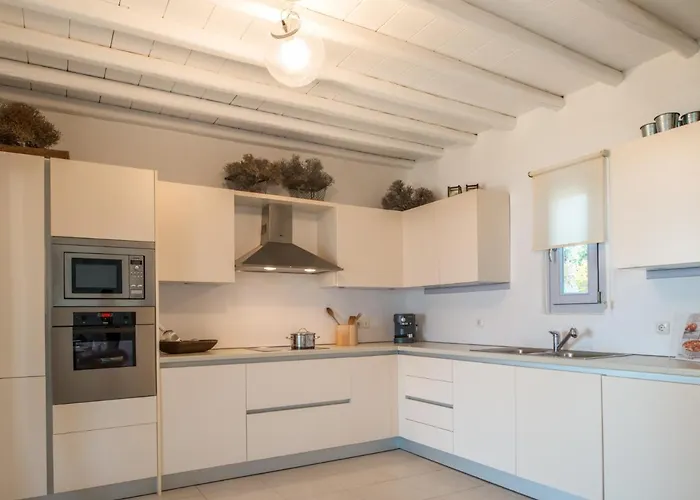 Vila Elegant Seaside Villa, Great Views, Infinity Pool, Lia, Mykonos